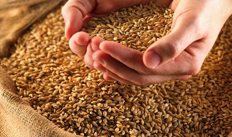 That’s how multinational grain merchant ADM launched its strategy in South America