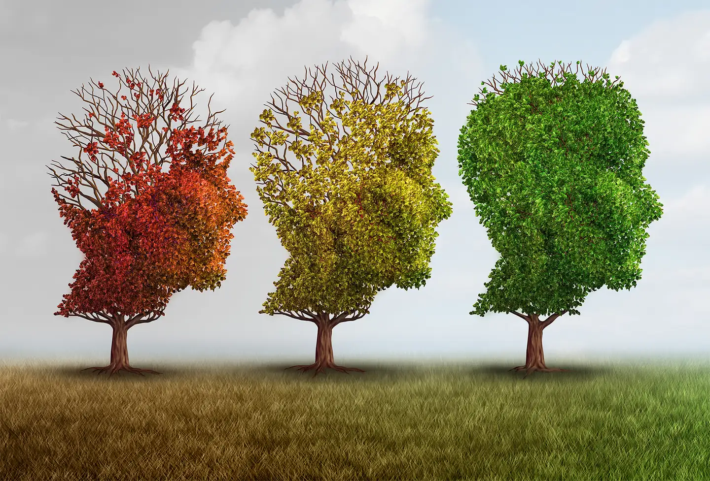 Deviations from beliefs and behaviors exhibited by obsessive-compulsive disorder