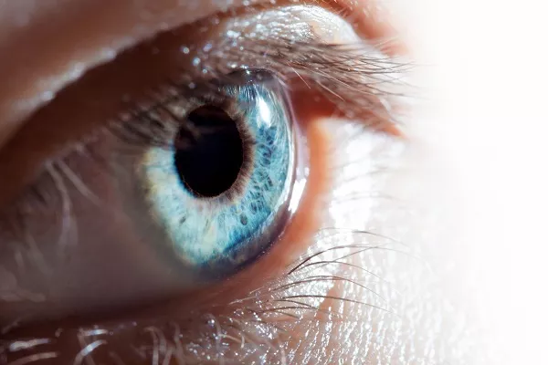 Analysis of Pathological Causes and Treatment Methods of Eye Movement Disorders