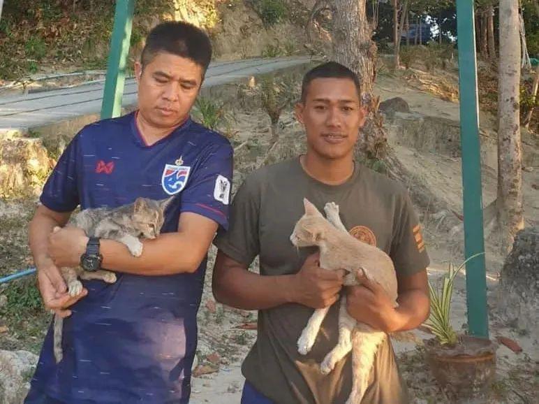 Four cats illegally crossed the border, but unexpectedly the ship caught fire and became stranded at sea. Rescue personnel worked hard to rescue them!