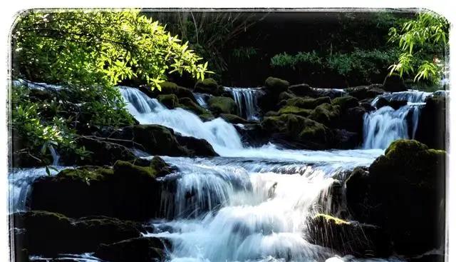 Guizhou Maolan has the wildest jungle cave. No wonder “Follow Bell to Adventure” will choose this place for adventure
