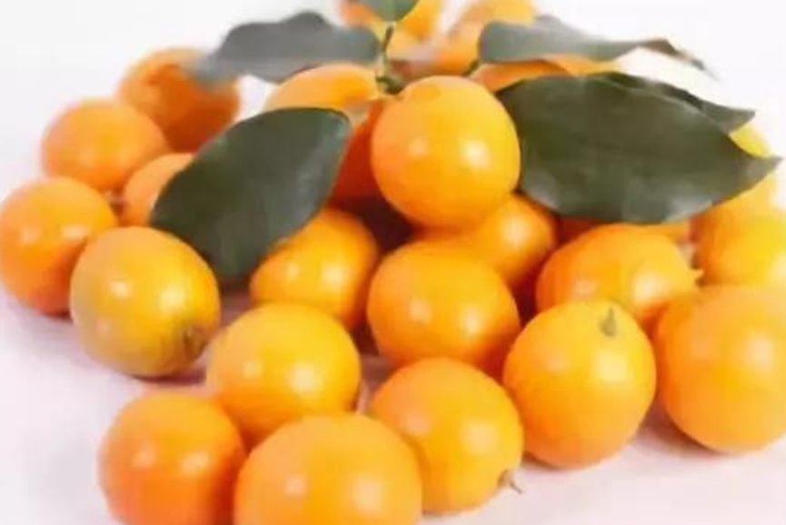 Three major fruits, lower blood pressure, fight serious diseases, and laxative! 99% of people don’t know