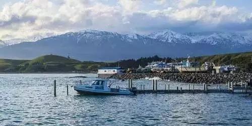 It’s enough to travel to these places in New Zealand!